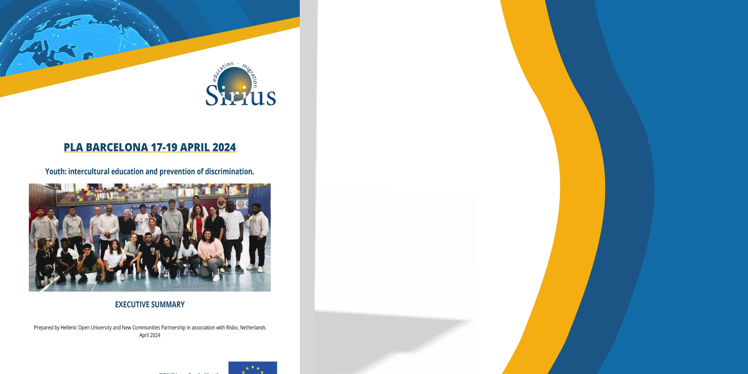 Sirius_Report (2)